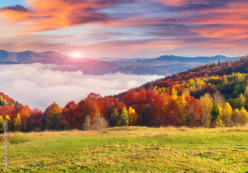 Colorful autumn morning in the Carpathian mountains.