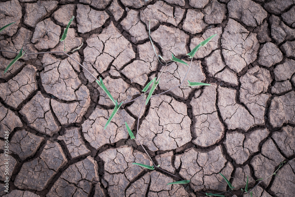 The ground The ground