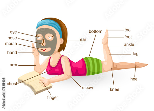 vocabulary part of body vector