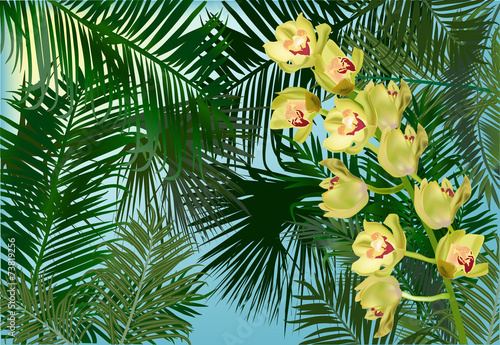 Fototapeta Naklejka Na Ścianę i Meble -  yellow orchid flower branch in green palm leaves