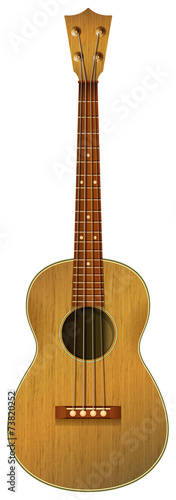 A guitar