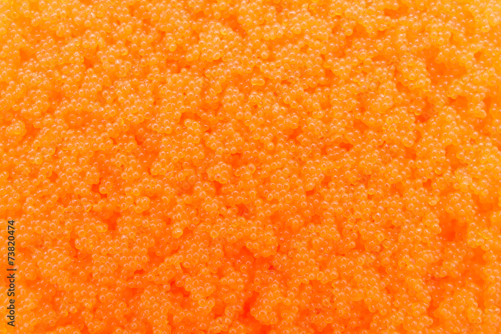 Egg shrimp background Egg shrimp background