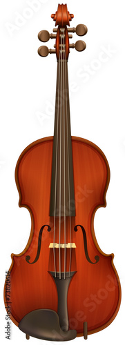 A violin