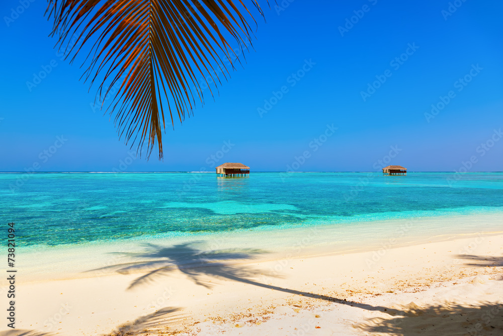 Fototapeta premium Tropical Maldives island