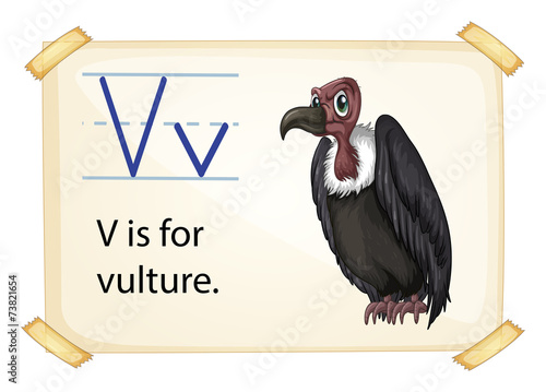 Letter V