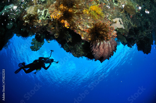 Diver, barrel sponge Xestospongia in Banda, Indonesia underwater