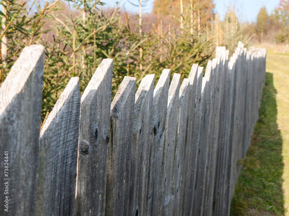 Old farmyard fence
