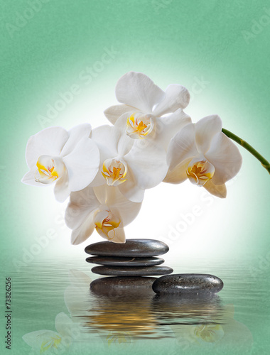 Fototapeta Naklejka Na Ścianę i Meble -  Yin und Yang