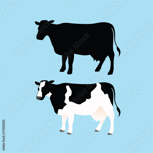 Cow
