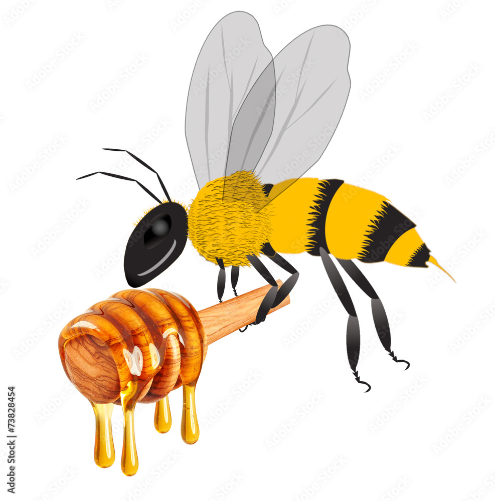 bee carrying honey dripping isolated - obrazy, fototapety, plakaty 