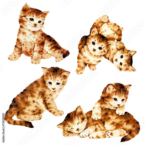 猫のイラスト，