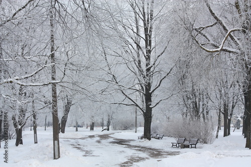 Winter view in the park © virgonira