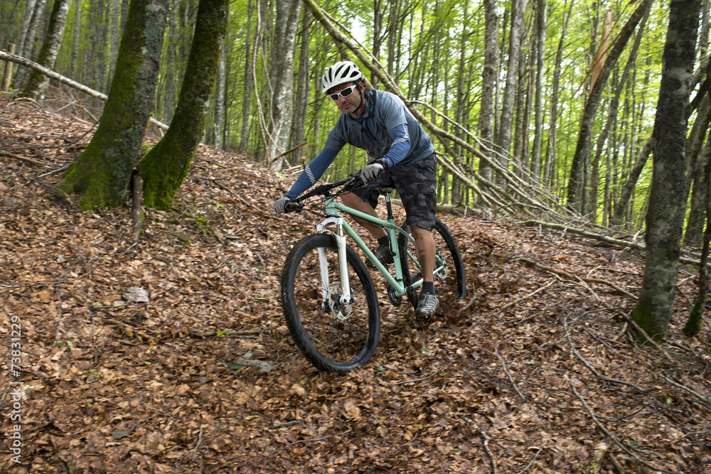 Fototapeta premium Rider in action