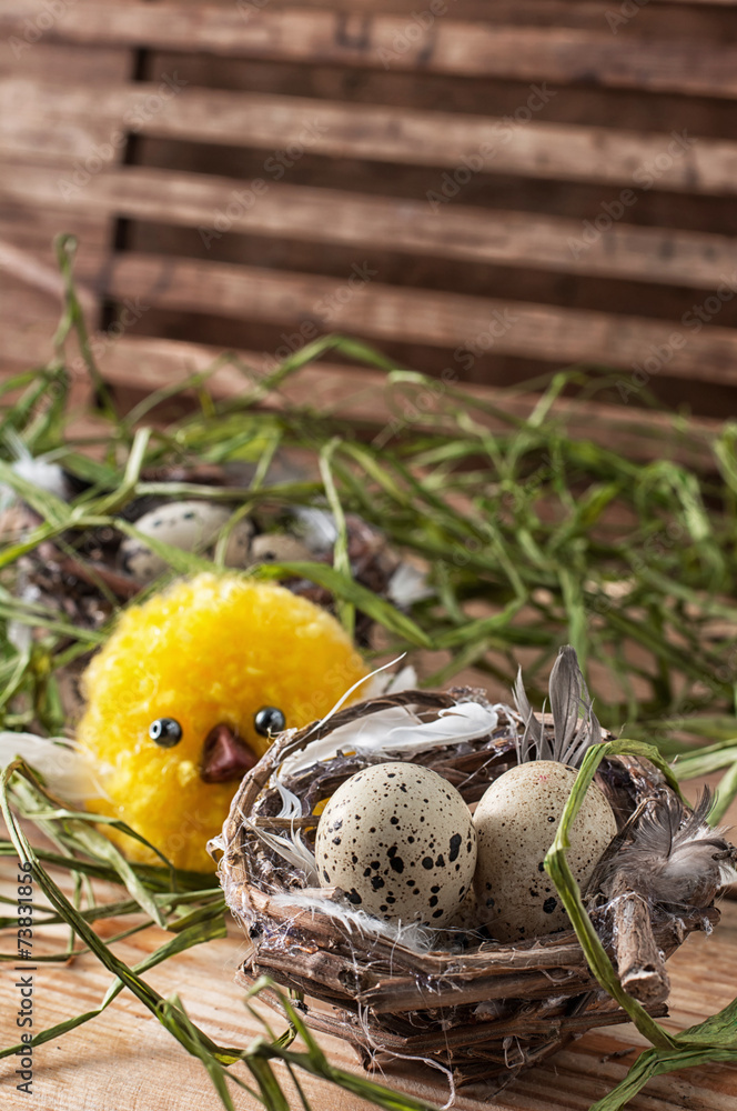 Obraz premium nest with quail eggs and chick