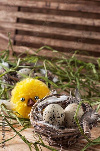 nest with quail eggs and chick