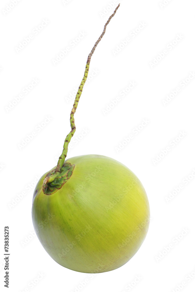 Green Coconut Isolated on White Green Coconut Isolated on White