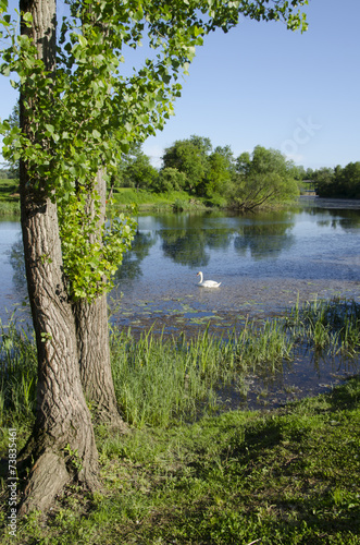 odra in cicka poljana