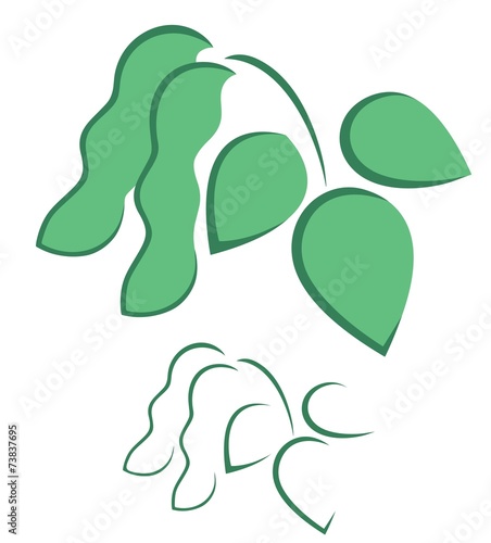 Soybean
