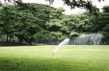 sprinkler head watering the grass in garden