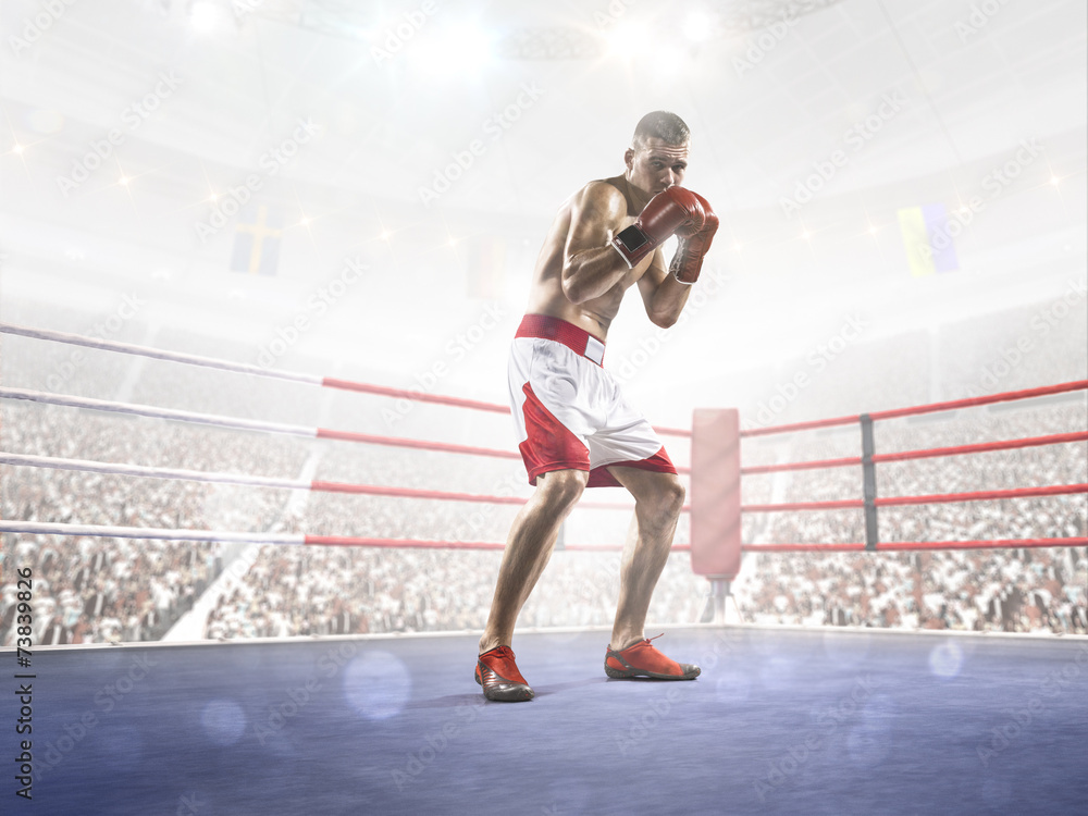 Obraz premium Professional boxer is training on the grand arena
