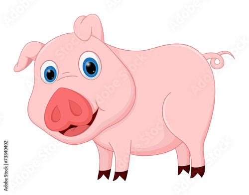 Cute pig cartoon
