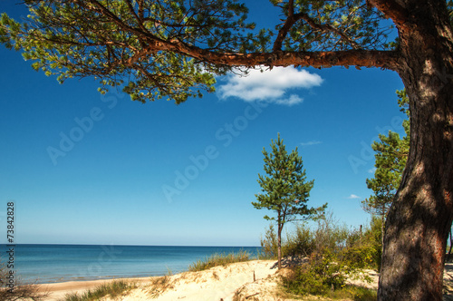 Sunny beach of the Baltic sea