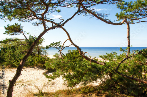 Fotografi Sandy beach of the Baltic sea. Klaipeda,Palanga
