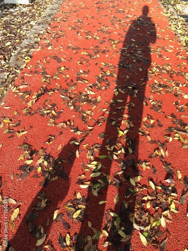 Картината върху платно Autumn shades