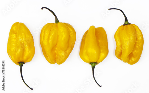 Photos Yellow habanero peppers