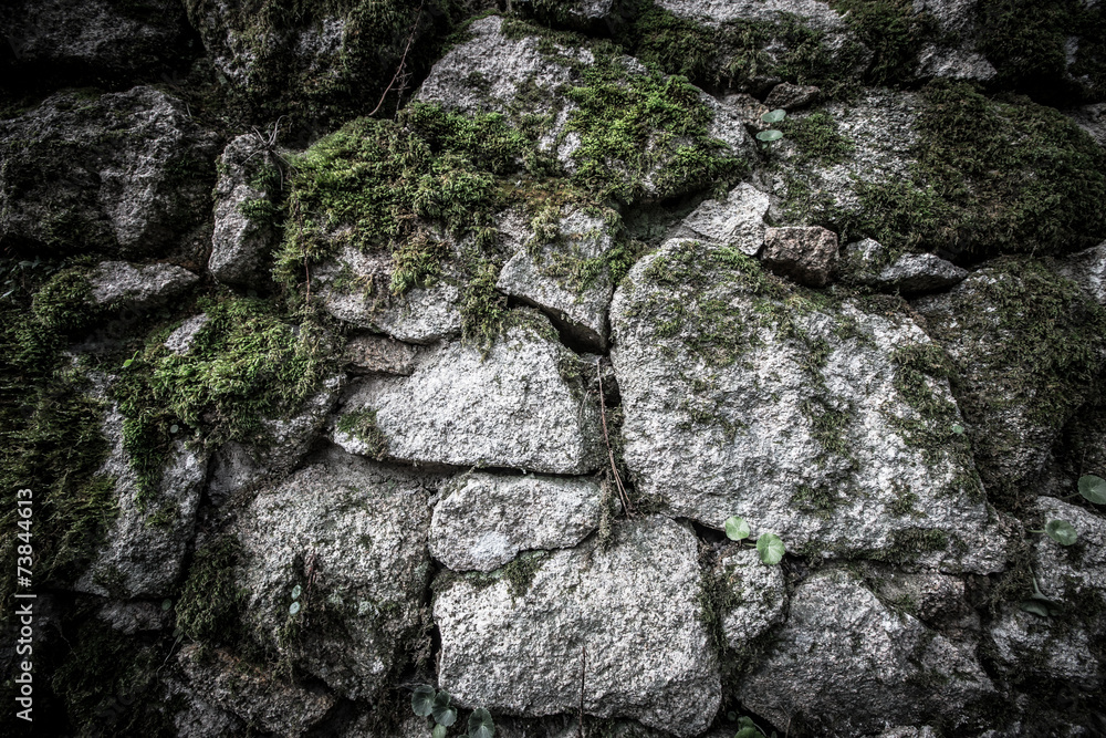 texture of natural stone and moss texture of natural stone and moss