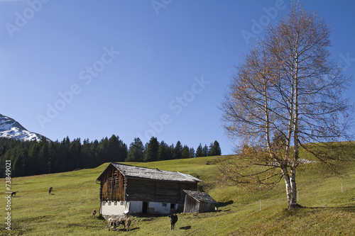 Holzschuppen im Medeltal photo