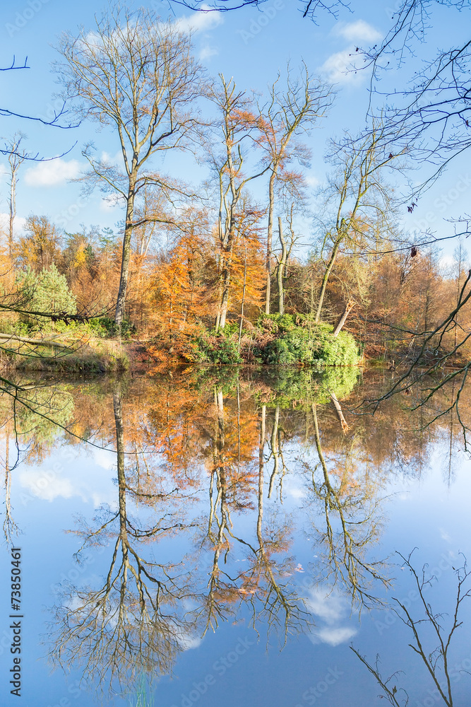 Fall forest with mirror image in water