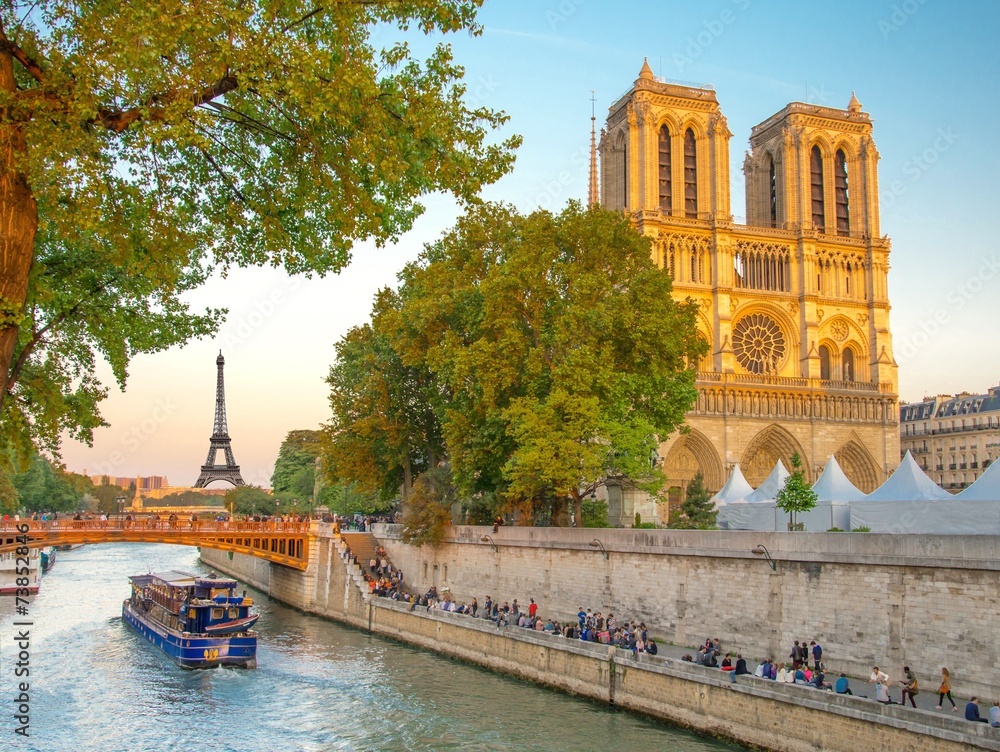 Notre-Dame de Paris, France - obrazy, fototapety, plakaty 