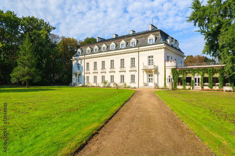 Beautiful palace in Radziejowice village near Warsaw, Poland