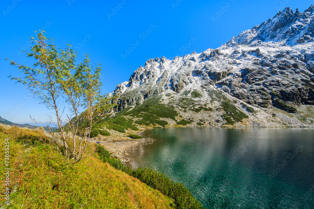 Czarny Staw lake in autumn colours, High Tatra Mountains, Poland