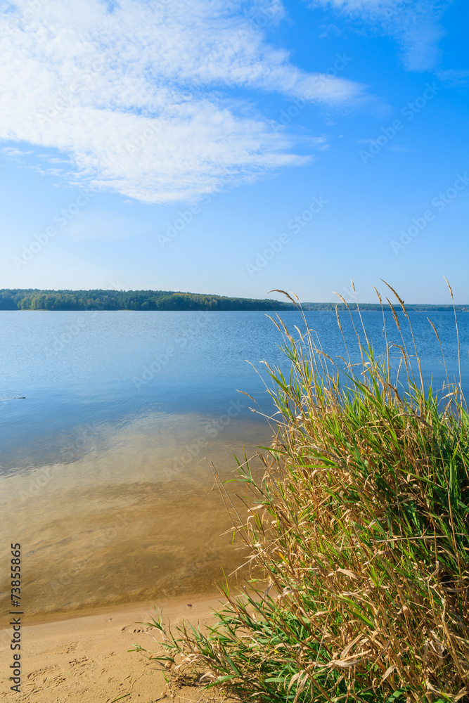 Green grass on shore of Chancza lake, Poland