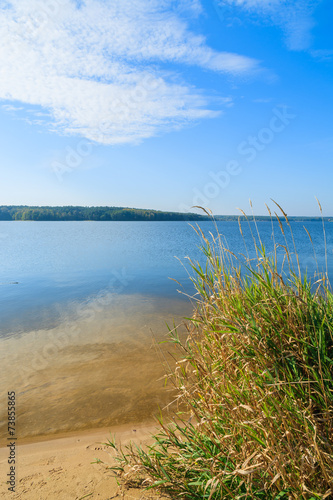 Green grass on shore of Chancza lake, Poland © pkazmierczak