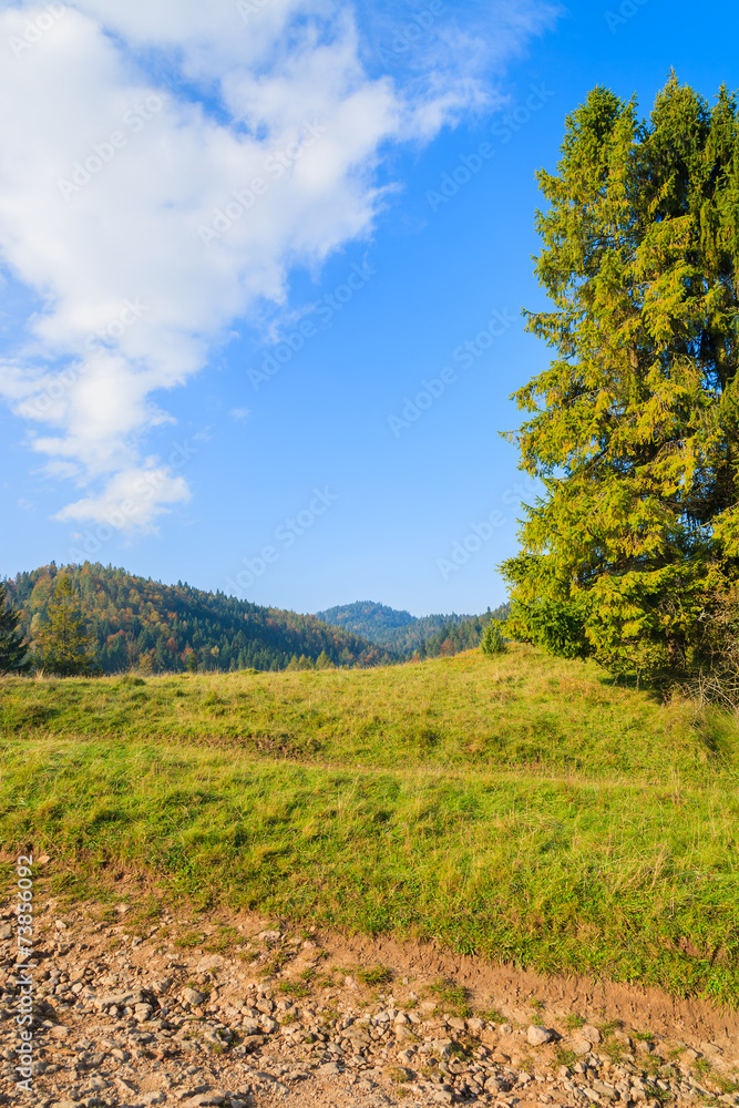 Path in autumn landscape of Pieniny Mountains, Poland
