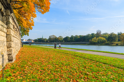 Obraz na płótnie Autumn trees along Vistula river in Krakow on sunny day, Poland