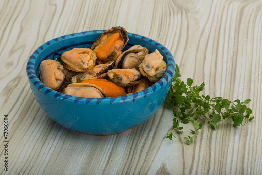 Mussels Mussels