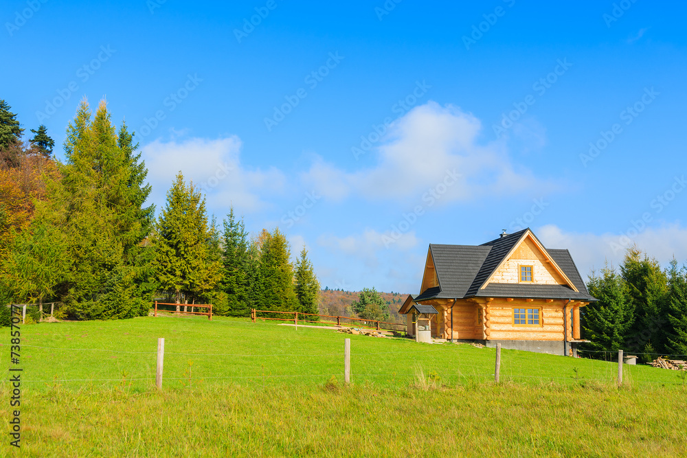 Traditional house on green field, Beskid Niski Mountains, Poland