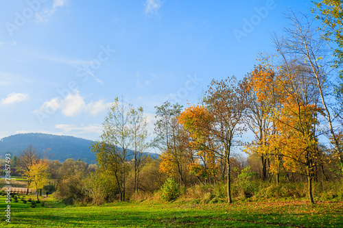 Colorful trees in autumn park of Wysowa Zdroj, Poland