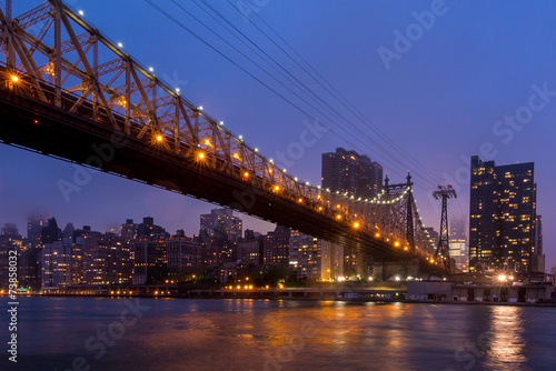 Queen Bridge  New York skyline