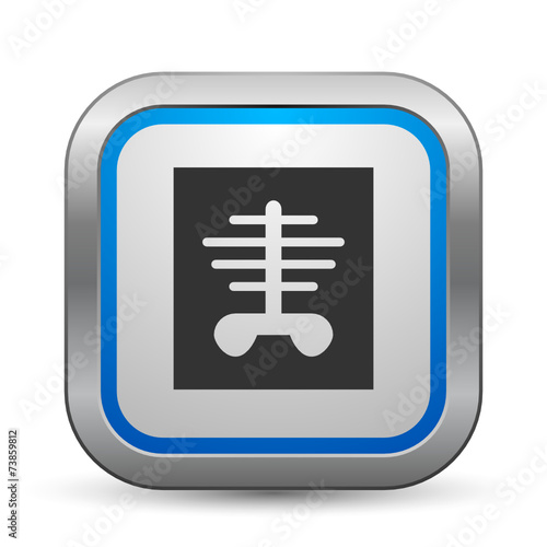 Chrome Button