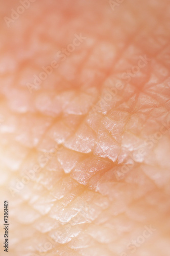 Human skin close up