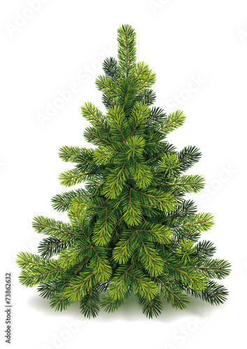 Detailed Small Christmas Tree
