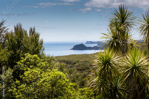 Landscape from Russell near Paihia  Bay of Islands  New Zealand