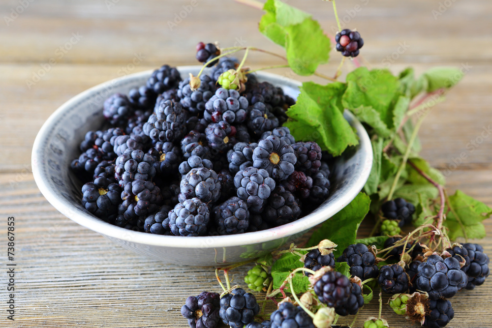 Forest blackberry in small bowl Forest blackberry in small bowl