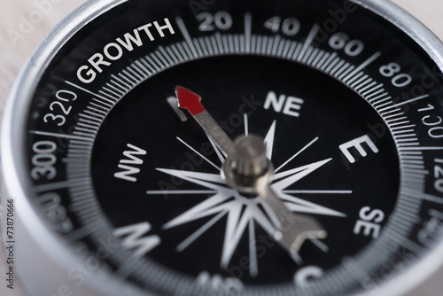 Compass Indicating Growth