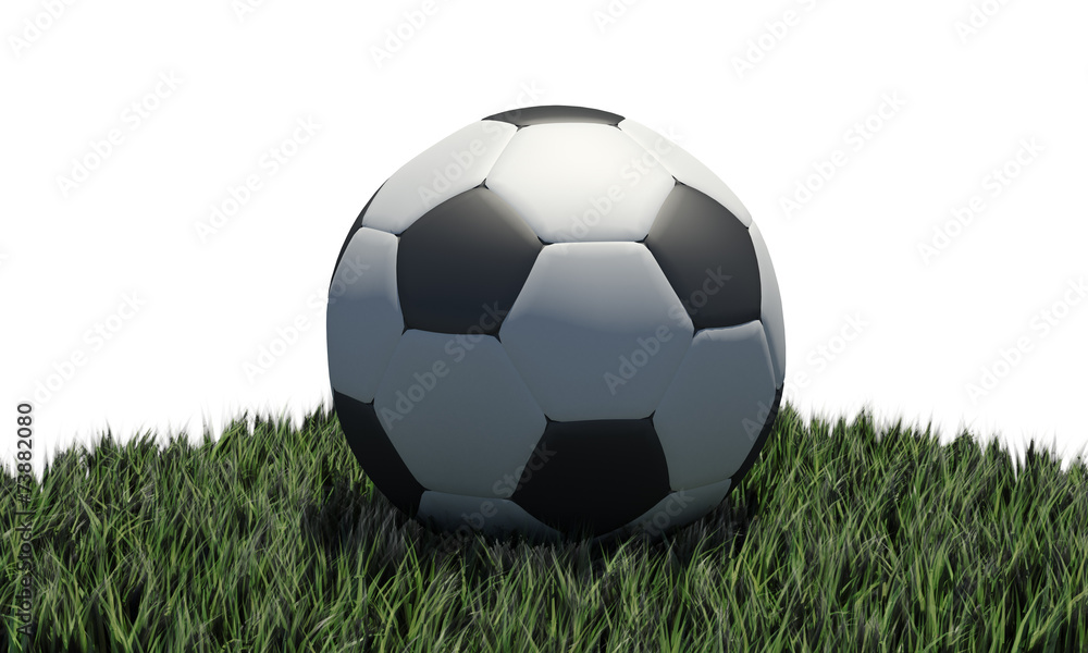 Pallone da calcio su erba Pallone da calcio su erba